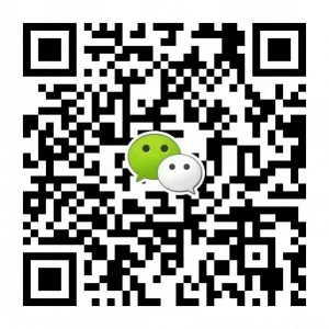 双登集团股份有限公司